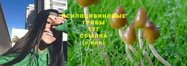 дживик Балахна