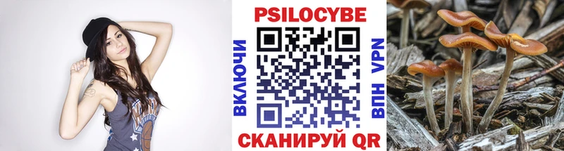 закладки  KRAKEN маркетплейс  Галлюциногенные грибы Psilocybe  Баксан 